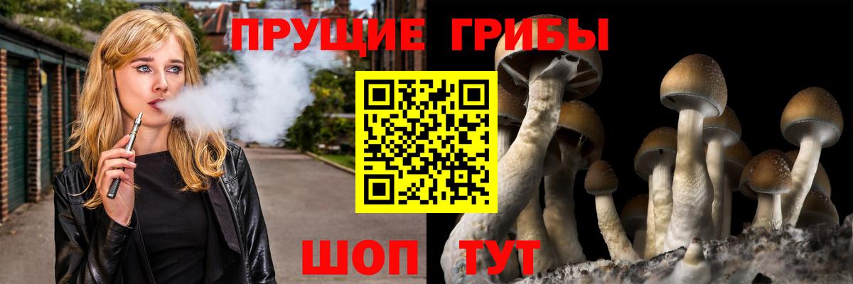 Галлюциногенные грибы мицелий  купить закладку  Вход с VPN  Старая Купавна  Псилоцибиновые грибы прущие грибы 
